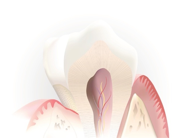 Animated inside of tooth used to explain root canal treatment